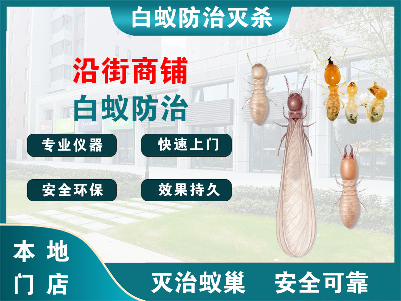 江北区沿街商铺白蚁防治