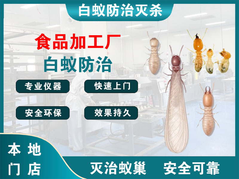 江北区食品加工厂白蚁防治