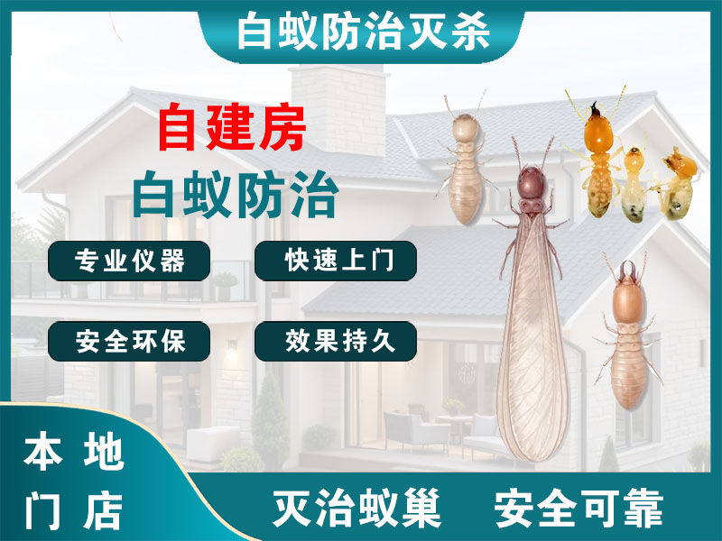 江北区自建房白蚁防治