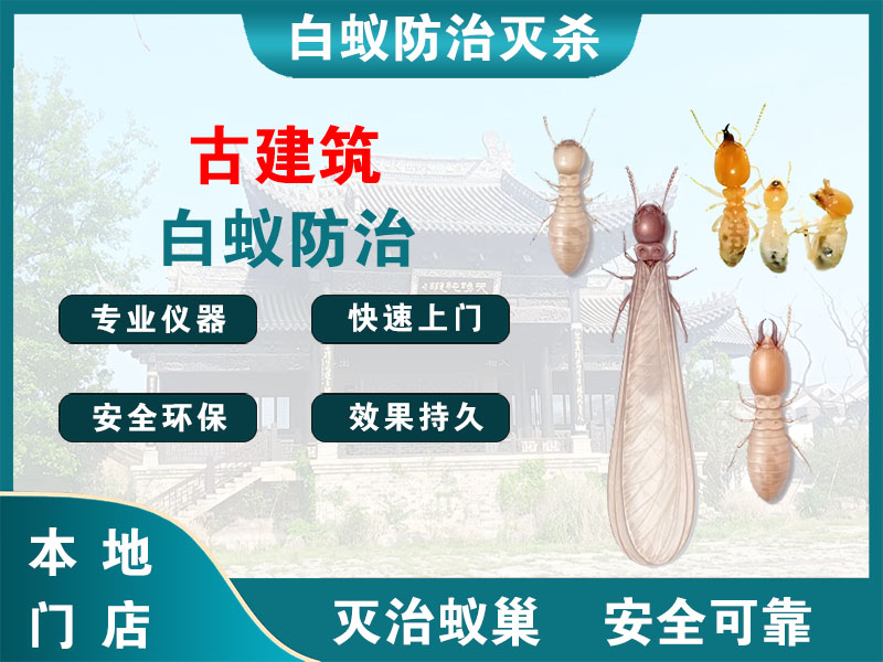江北区古建筑白蚁防治