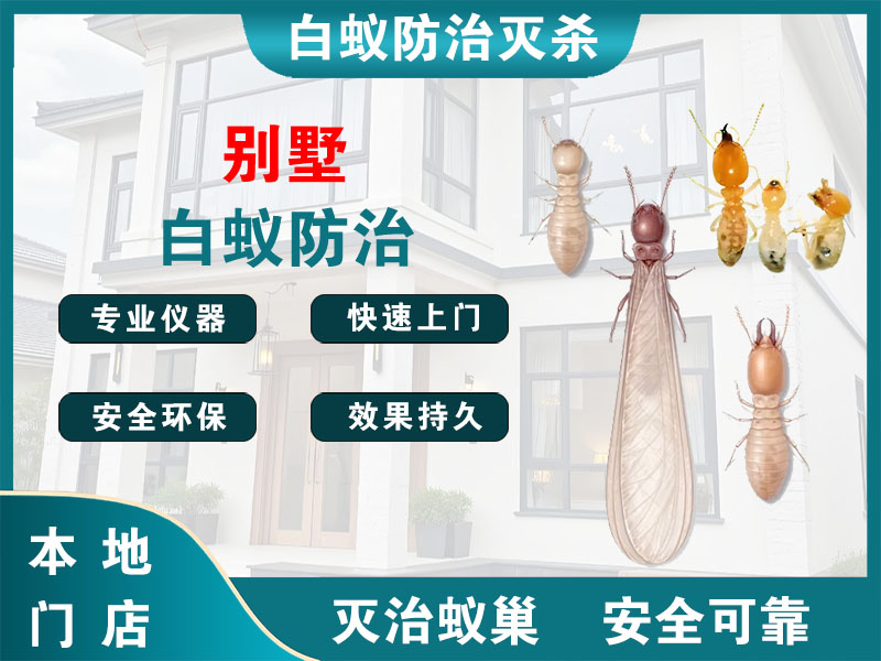 江北区别墅白蚁防治